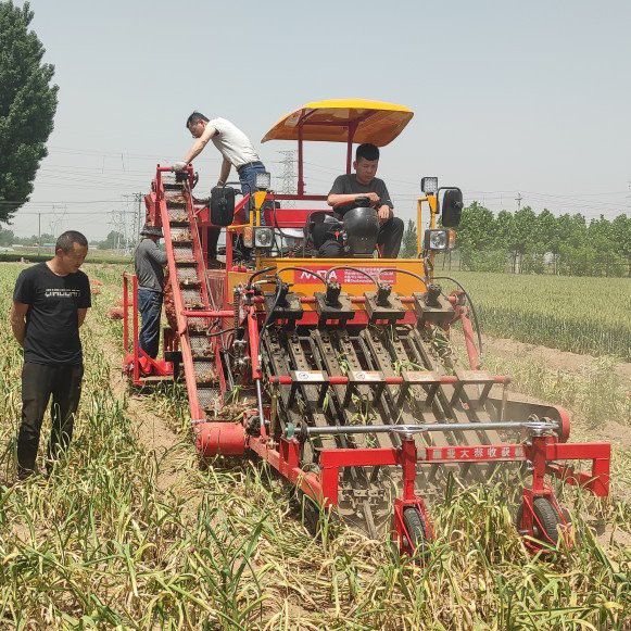 Large Garlic harvester