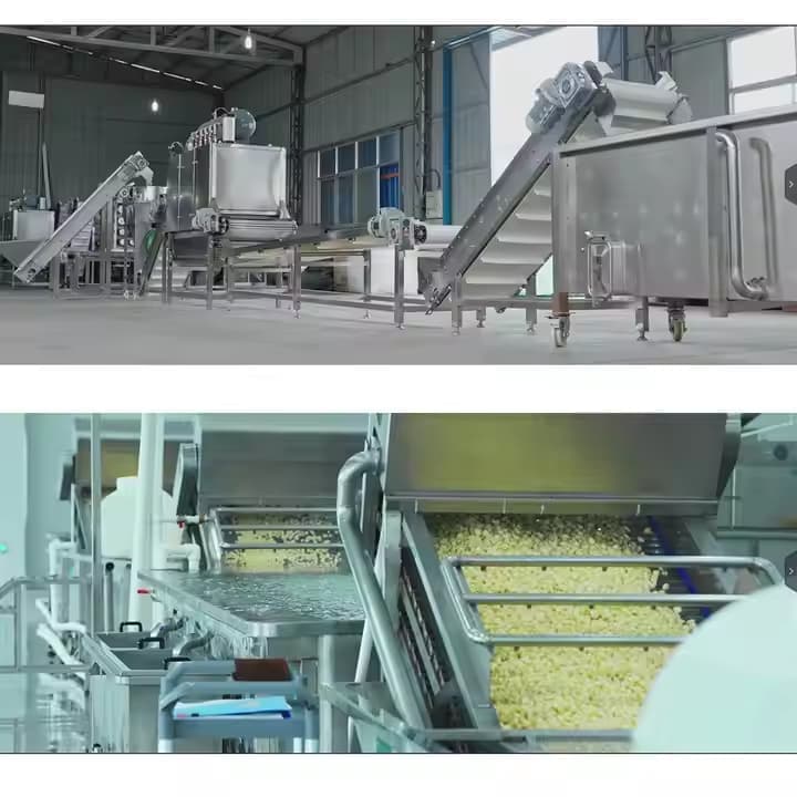 La pell d'all pelada completament automàtica que elimina la línia de producció de pelat