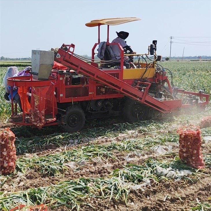 Garlic combine harvester