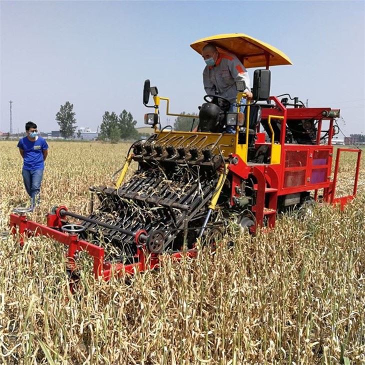 Self-propelled Garlic Harvester Cutting Stems