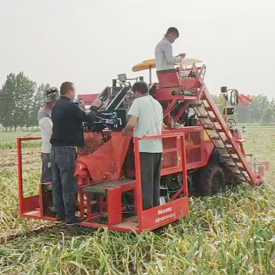 Self-propelled Garlic Harvester Cutting Stems